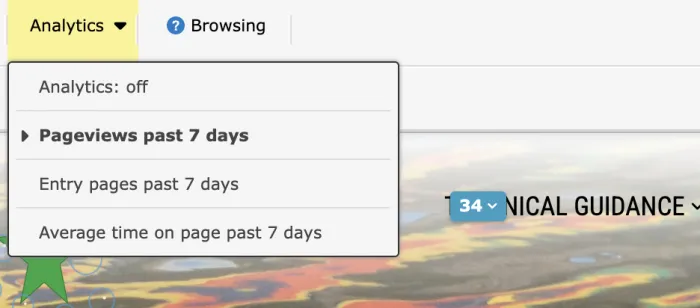 Matomo Analytics dropdown menu showing pageviews, entry pages and average time on page options