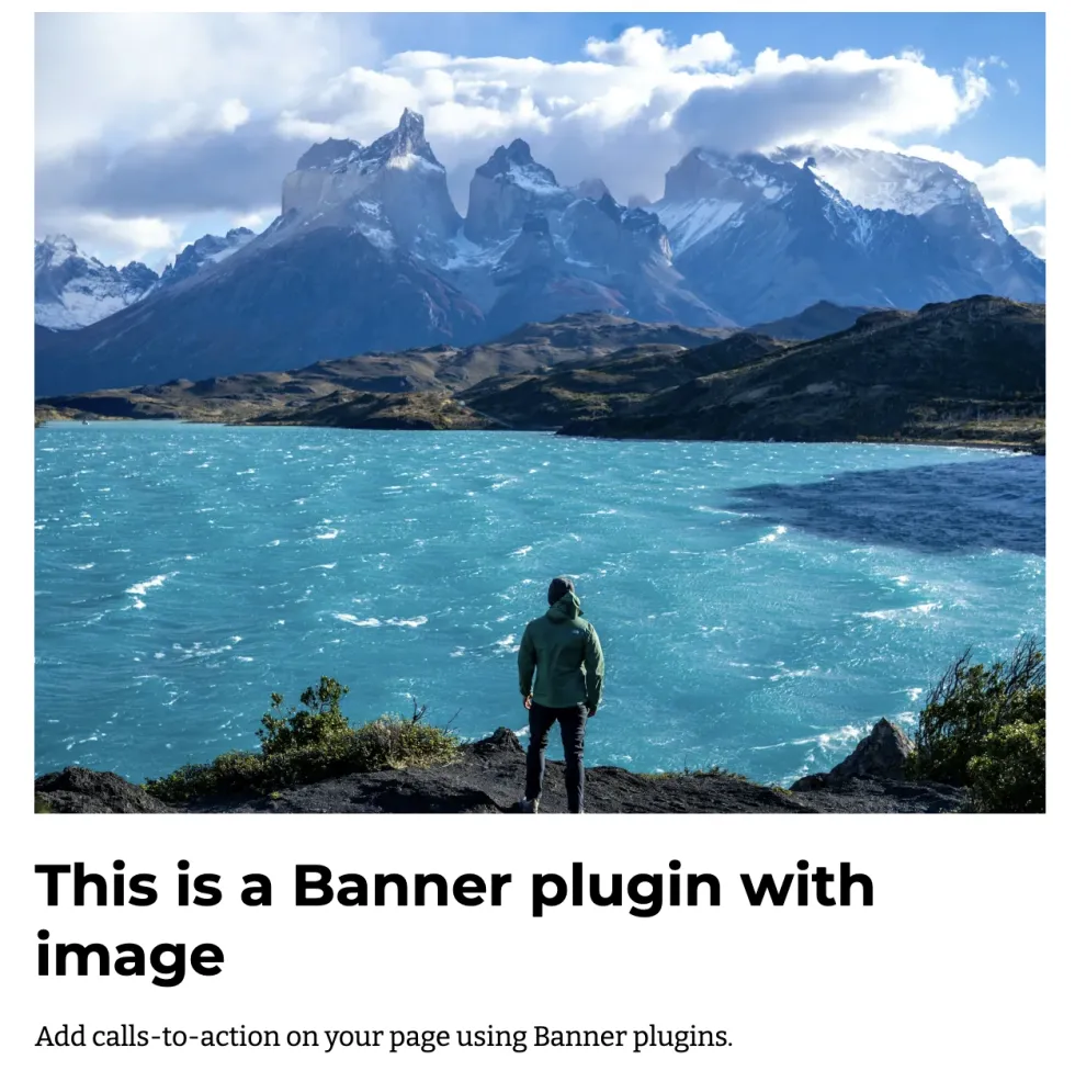 Zenario banner plugin preview