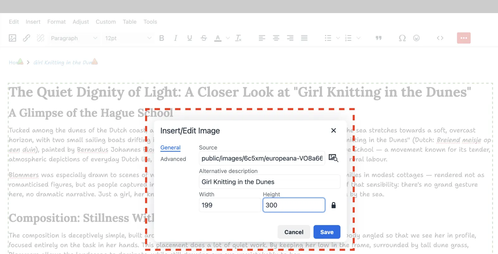 Zenario WYSIWYG Editor showing how to insert an image