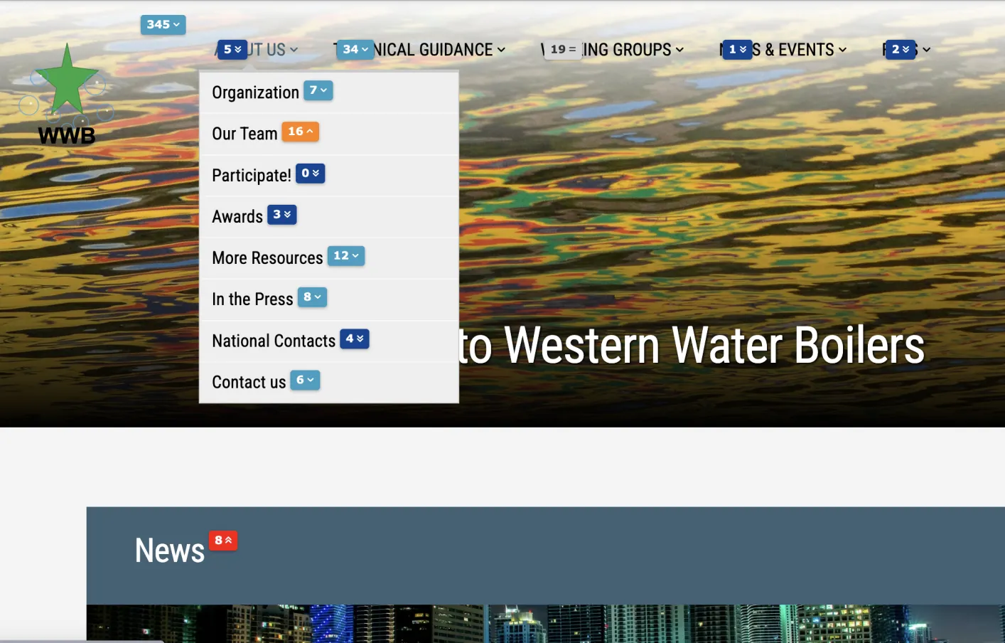 Website homepage with navigation menu showing Matomo Analytics
