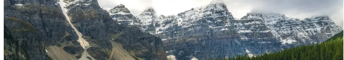 Banner Without Advertised Styles